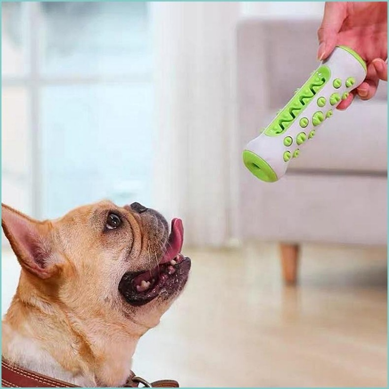 TPR Hondenkaarsenstick Kauwspe - Teeth Cleaning Dog Chew Bone recensie en prijs