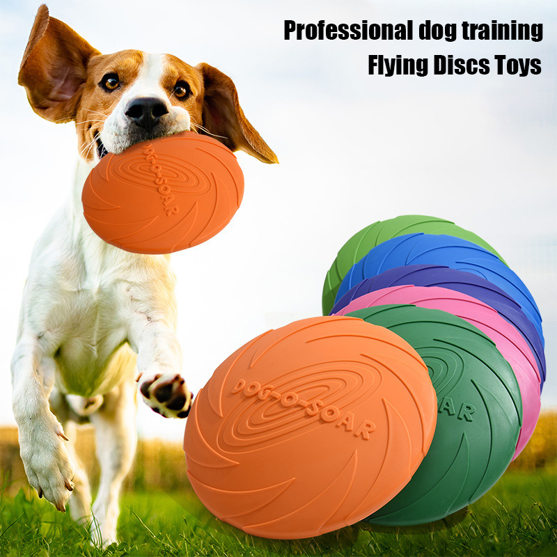 Grote Hond Gouden Vacht Huisdi - Flying Disc Dog Training Toy recensie en prijs